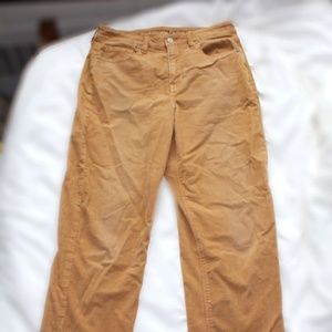 AE (stretch) Corduroy 90's Straight Pants